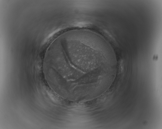 X0000112881158200908281630