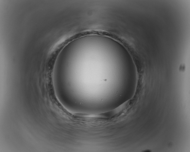 X0000112881159200908281630