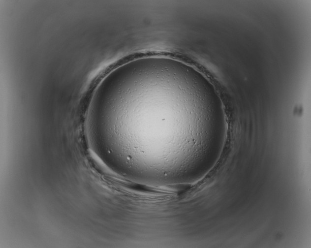 X0000112881160200908281630