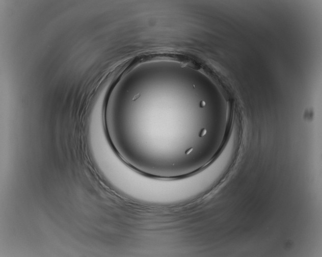 X0000112881161200908281630