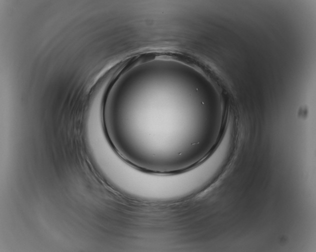 X0000112881162200908281630