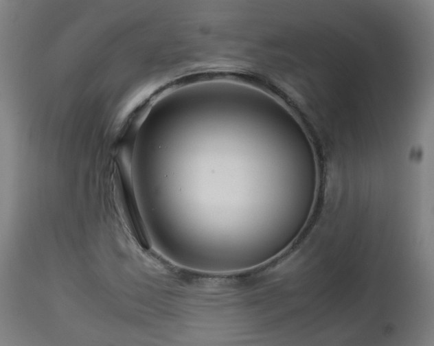 X0000112881163200908281630