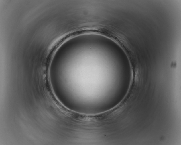 X0000112881164200908281630