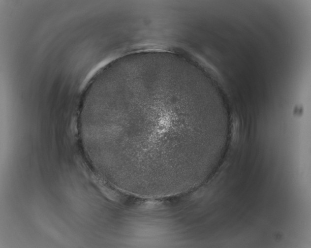 X0000112881166200908281630