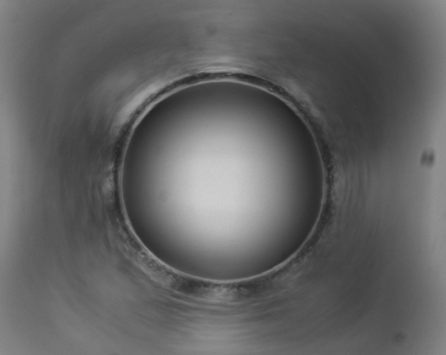 X0000112881167200908281630