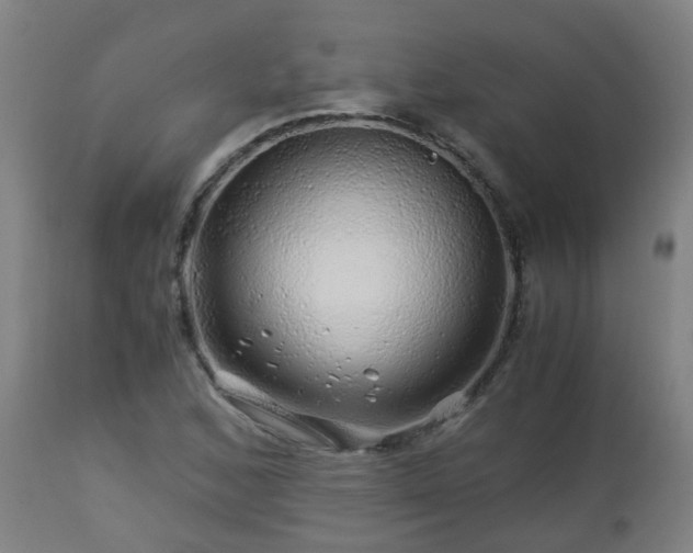 X0000112881168200908281630