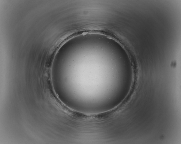 X0000112881169200908281630