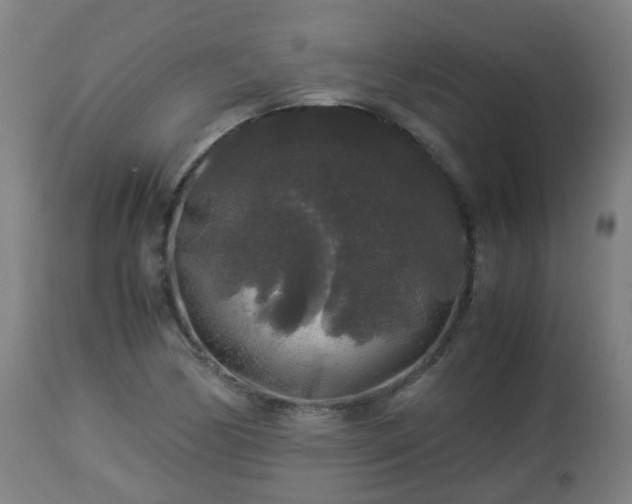 X0000112881170200908281630