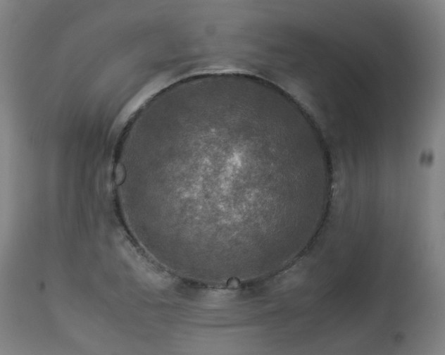 X0000112881173200908281630