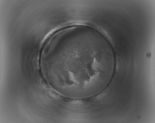 X0000112881174200908281630