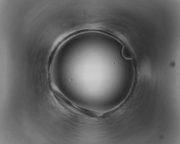 X0000112881176200908281630