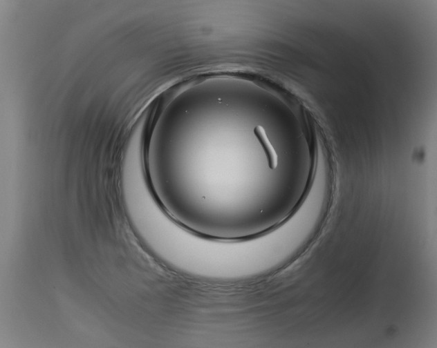 X0000112881177200908281630