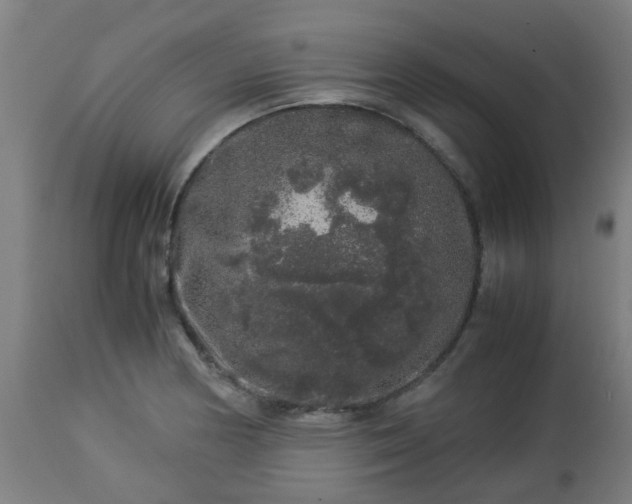 X0000112881178200908281630