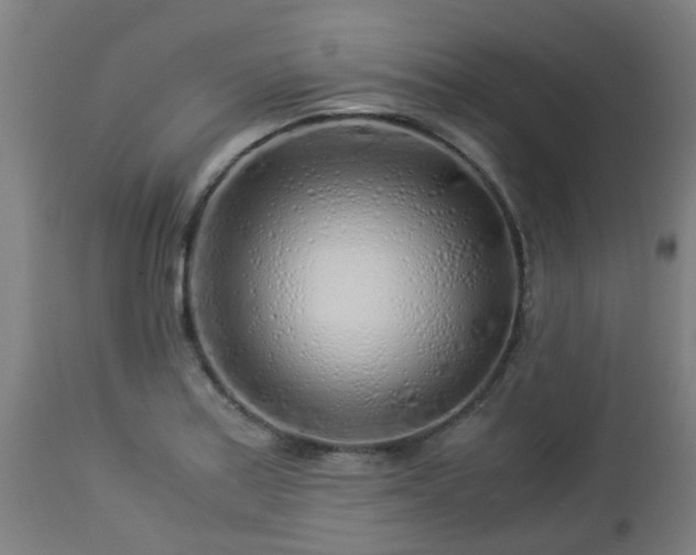 X0000112881179200908281630