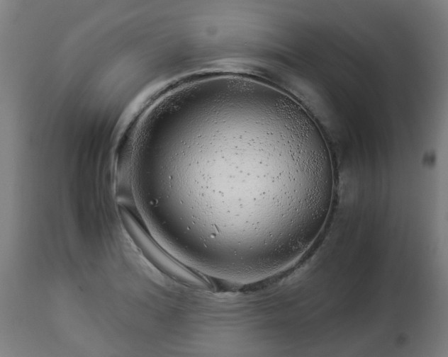 X0000112881180200908281630