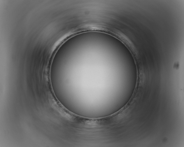 X0000112881182200908281630