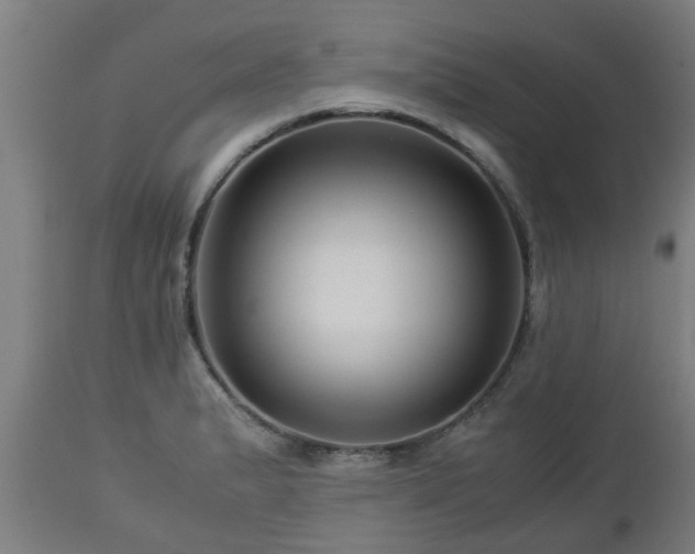 X0000112881183200908281630