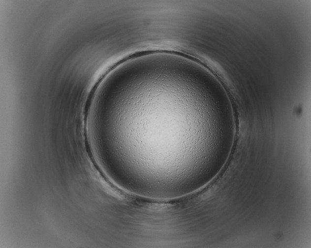 X0000112881184200908281630