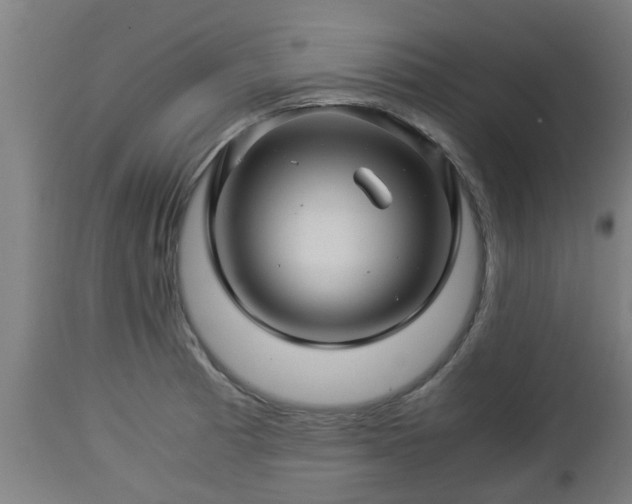 X0000112881185200908281630