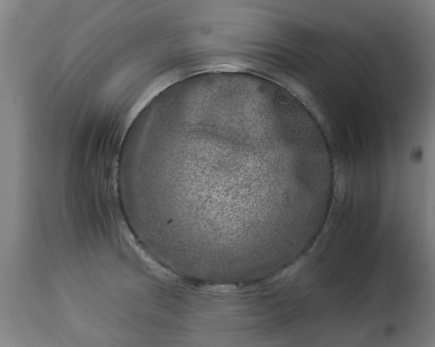 X0000112881186200908281630