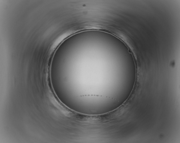 X0000112881187200908281630