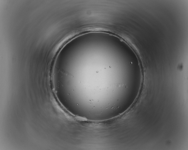 X0000112881189200908281630