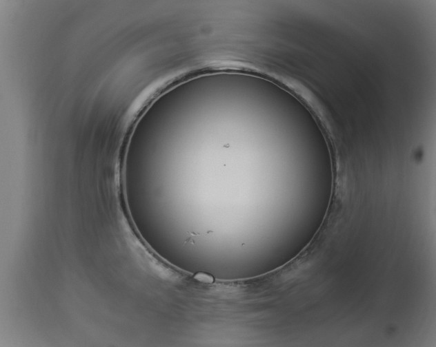 X0000112881191200908281630