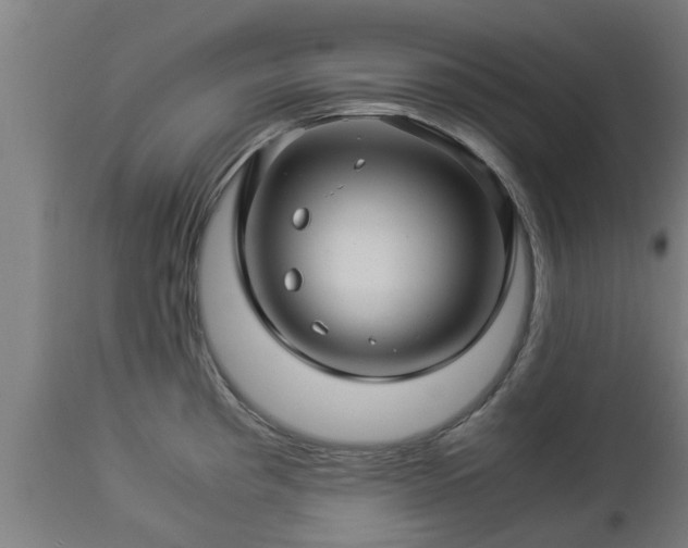 X0000112881193200908281629