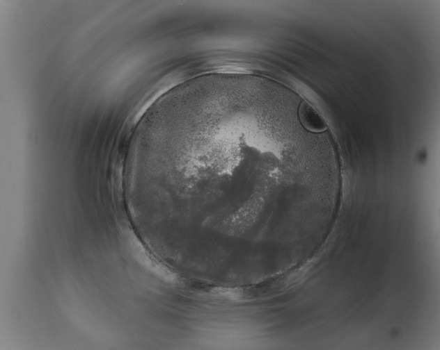 X0000112881194200908281629