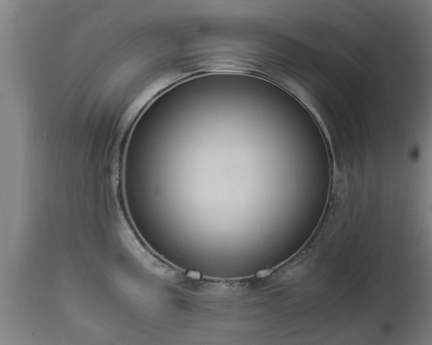 X0000112881195200908281629