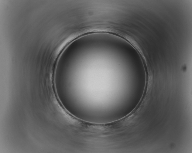 X0000112881197200908281629