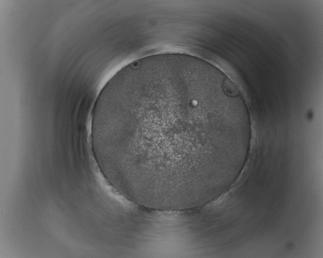 X0000112881198200908281629