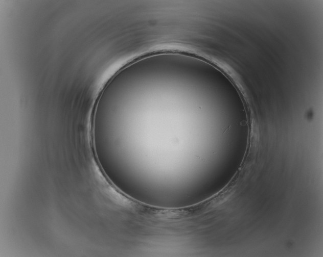 X0000112881199200908281629