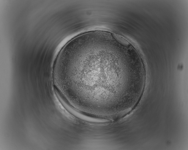 X0000112881200200908281629