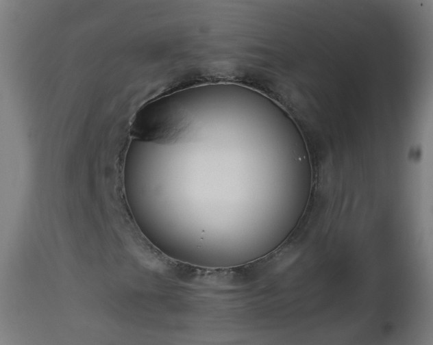 X0000112881201200908281629