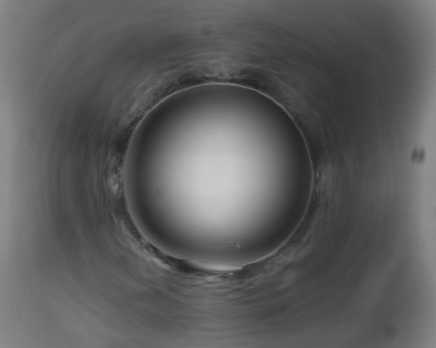 X0000112881202200908281629