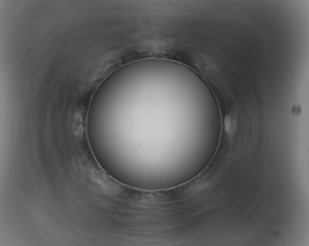 X0000112881203200908281629