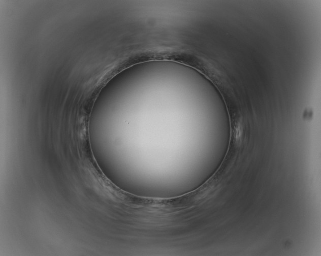 X0000112881204200908281629