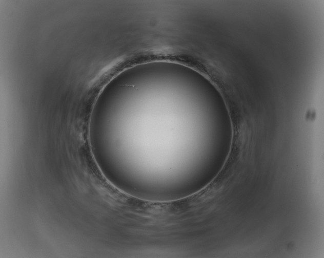 X0000112881205200908281629