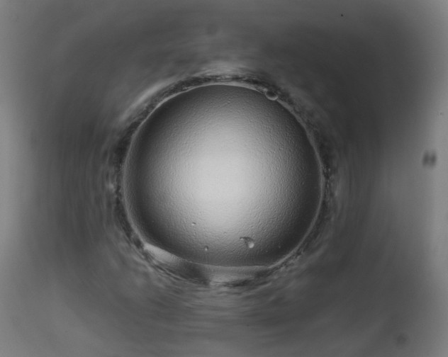 X0000112881206200908281629