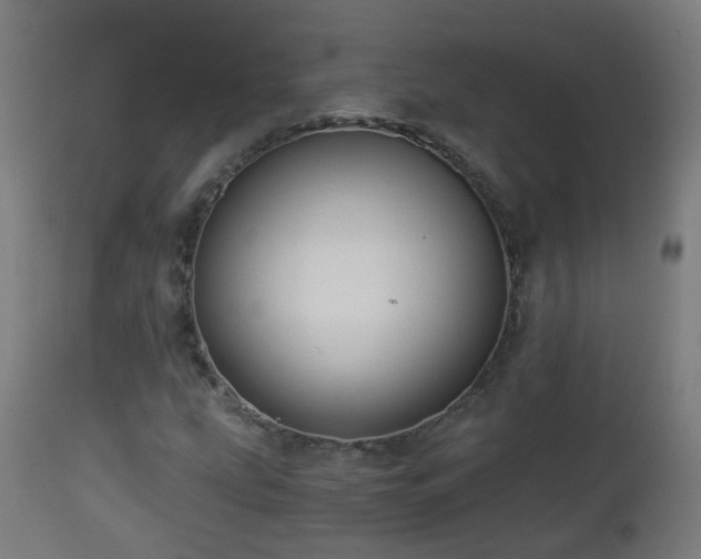 X0000112881207200908281629