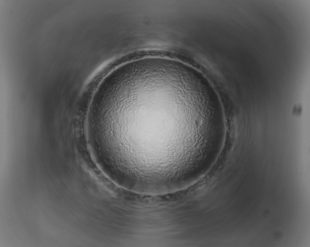 X0000112881208200908281629