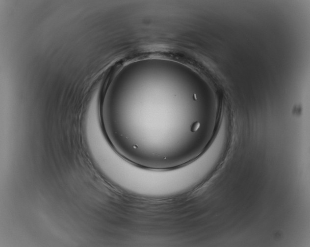 X0000112881209200908281629