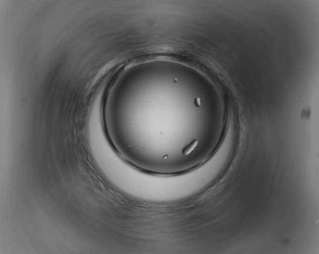 X0000112881210200908281629