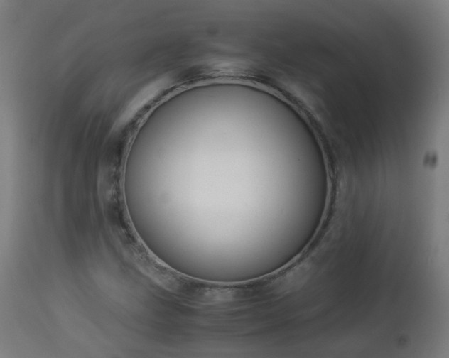 X0000112881211200908281629