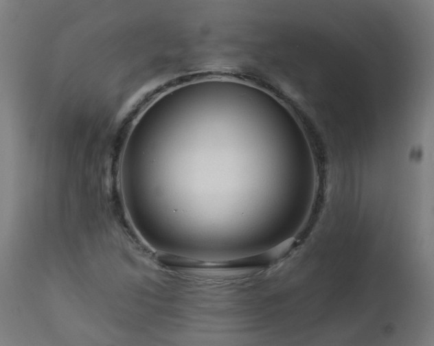 X0000112881214200908281629