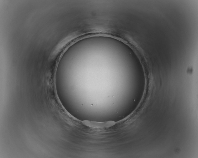 X0000112881215200908281629