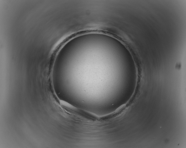 X0000112881216200908281629