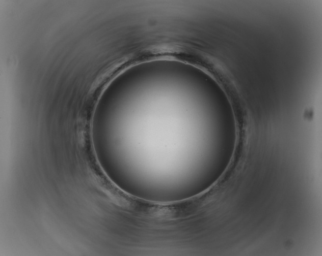 X0000112881217200908281629