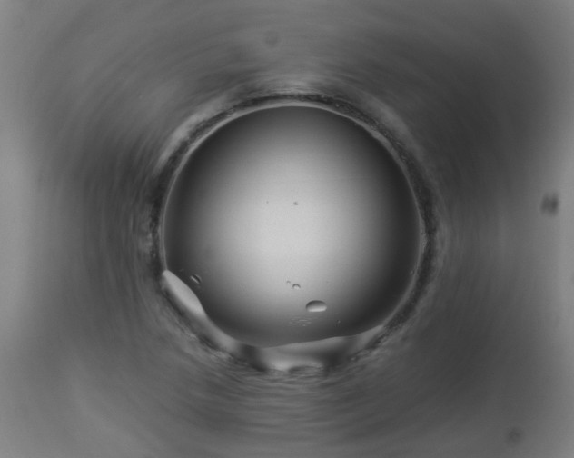 X0000112881218200908281629